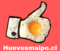 HUEVOS MAIPO